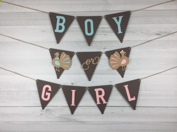 Turkey Gender Reveal Banner - Pink/Brown/Blue - Little Turkey Baby Shower - Gender Reveal Baby Shower - Fall Baby Shower -Boy or Girl Banner Il_570xn