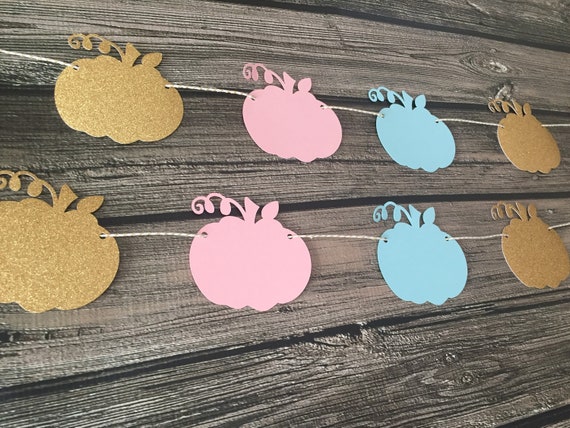 Pumpkin Gender Reveal Garland - Pink/Blue/Gold - Gender Reveal Baby Shower - Baby Shower Garland - Little Pumpkin - Pumpkin Shower - Fall Il_570xn