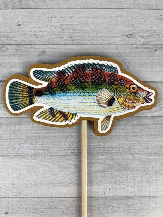FISH Centerpieces Vintage Fish DOUBLE-SIDED the Big One Fishing Birthday  Birthday Centerpieces Realistic Fishing Party Decor 