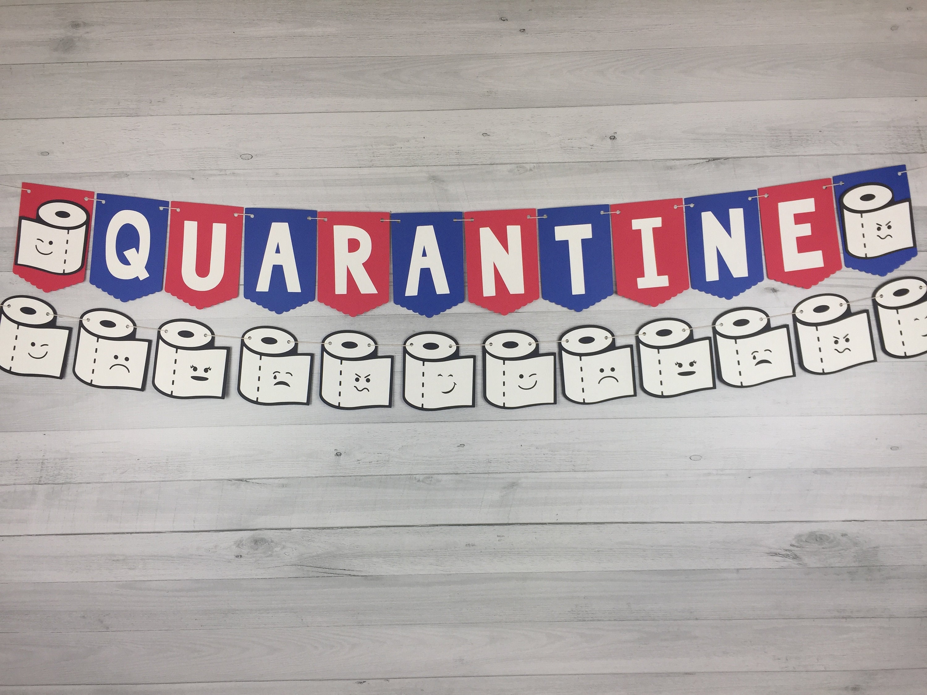 Toilet Paper Quarantine Banner Quarantine Birthday Birthday Etsy