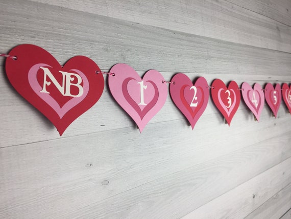 HEART First Year Banner - 1st Year Photo Banner - Photo Banner - Valentine 1st Birthday - Monthly Photo Banner - First Birthday -Photo Clips Il_570xn