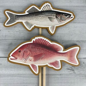 FISH Centerpieces Vintage Fish DOUBLE-SIDED The Big One Fishing Birthday Birthday Centerpieces Realistic Fishing Party Decor image 5