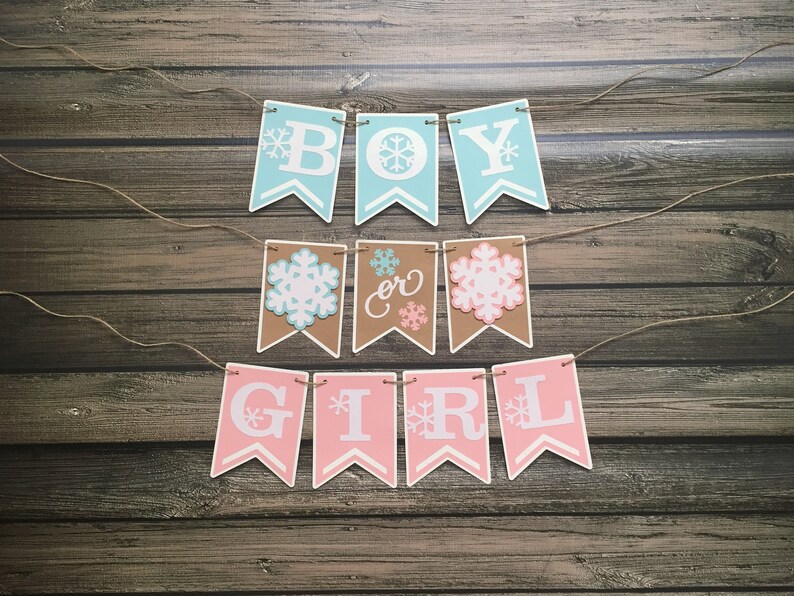 May include: A banner with pennants spelling "BOY or GIRL" in white letters. The "BOY" pennants are light blue, the "or" pennants are brown, and the "GIRL" pennants are pink. Each pennant has a snowflake design.