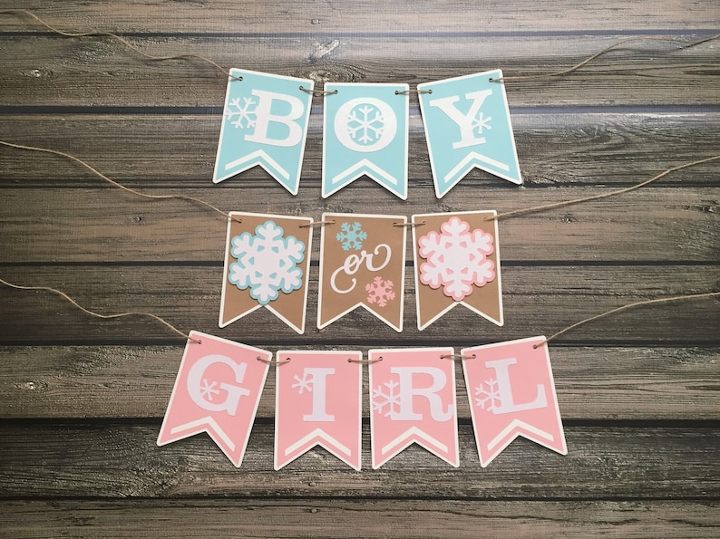May include: A banner with the words "BOY or GIRL" in white capital letters on blue, brown, and pink pennants. Each pennant has a snowflake design. The banner is strung on twine and is set against a wooden background.