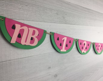 Hot Pink WATERMELON First Year Banner -1st Year Photo Banner - Photo Banner - One In A Melon -Monthly Photo Banner - Watermelon 1st Birthday