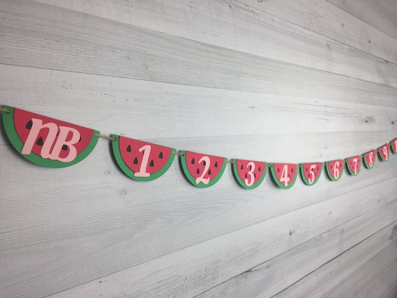Red WATERMELON First Year Banner - 1st Year Photo Banner - Photo Banner - One In A Melon - Monthly Photo Banner - Watermelon 1st Birthday Il_570xn