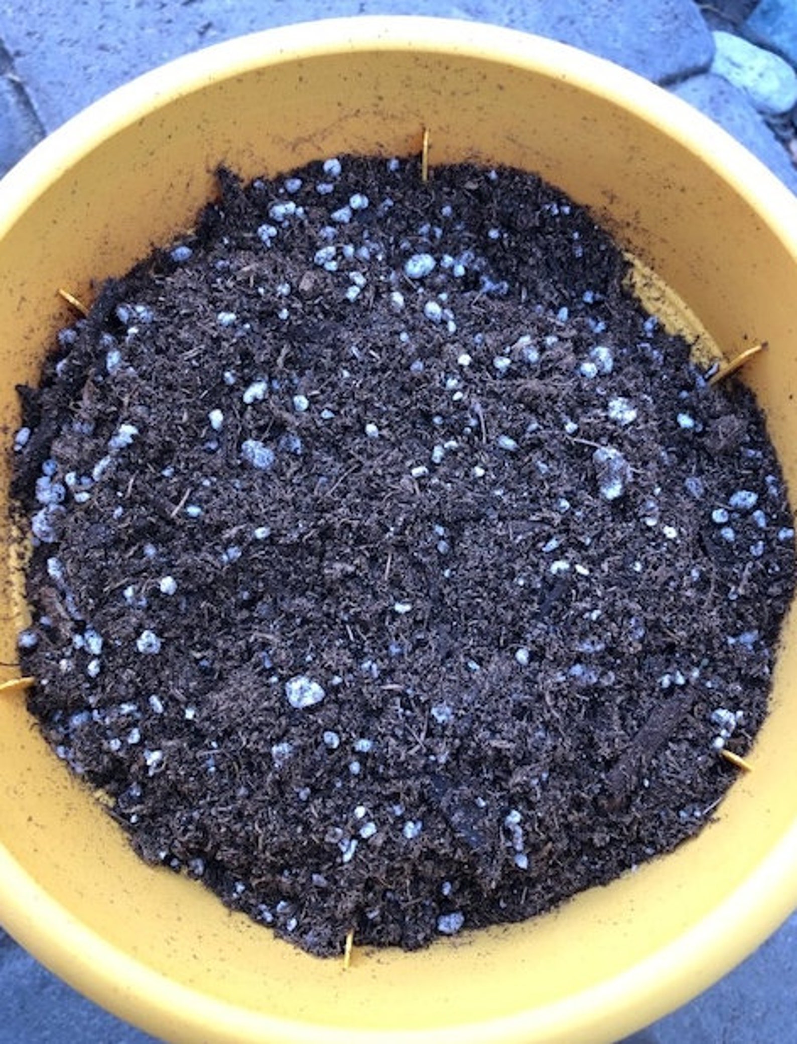 Potting Soil 1 gallon bag Etsy