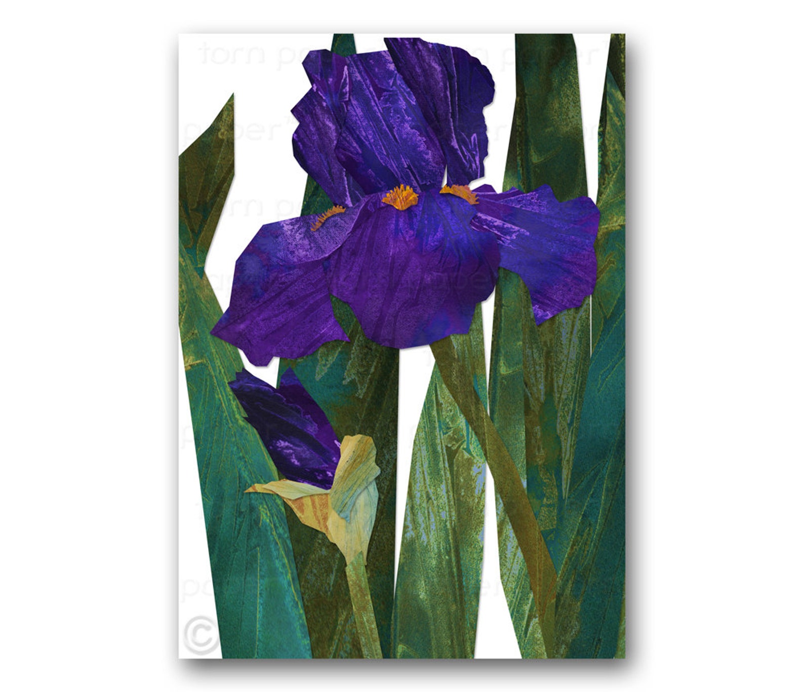 Purple IRIS FLOWER Spring Floral Card Design by Linda Henry Also ...