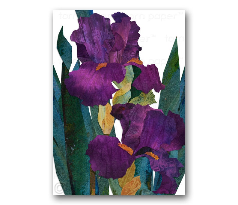 IRIS FLOWERS Spring Floral Card Design by Linda Henry - Etsy