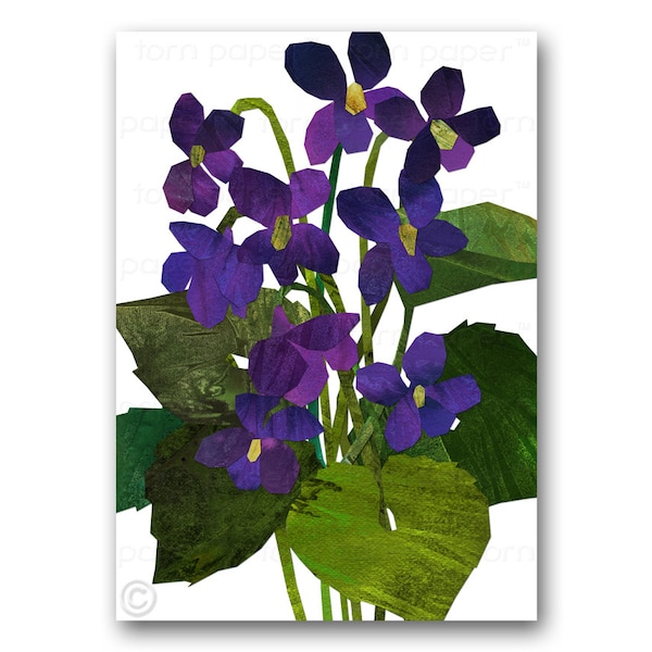 VIOLETS - Blank Greeting Card - 5"x7" Springtime Flowers - Also available as a Print with a Custom Mat - Great Gift (CFLO201409)