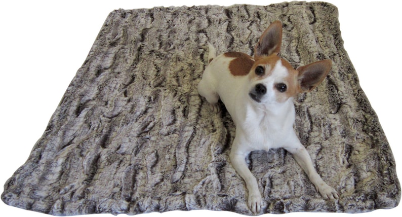 K&ouml;nnte beinhalten: Ein kleiner, wei&szlig;er und brauner Hund mit braunen Augen liegt auf einem grauen und braunen Kunstfell-Hundebett.