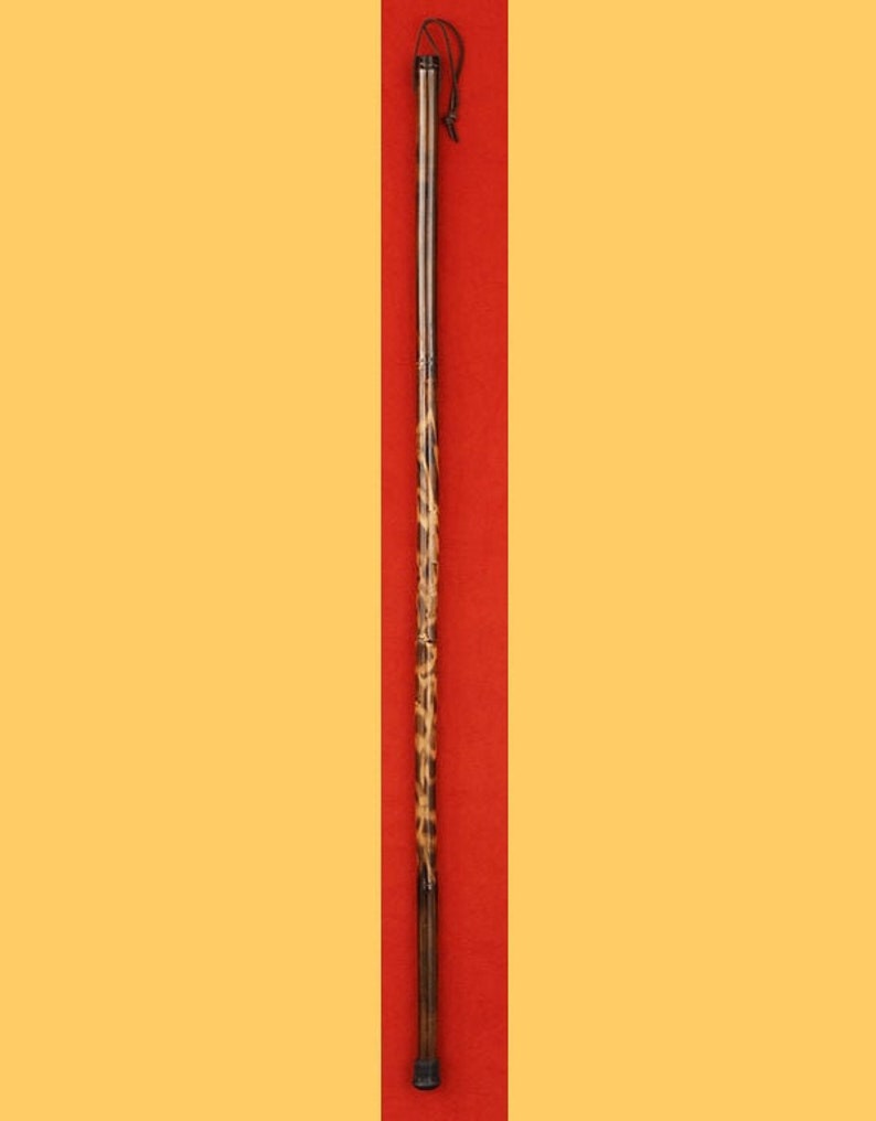Wood Walking Stick. Shipping Included image 1