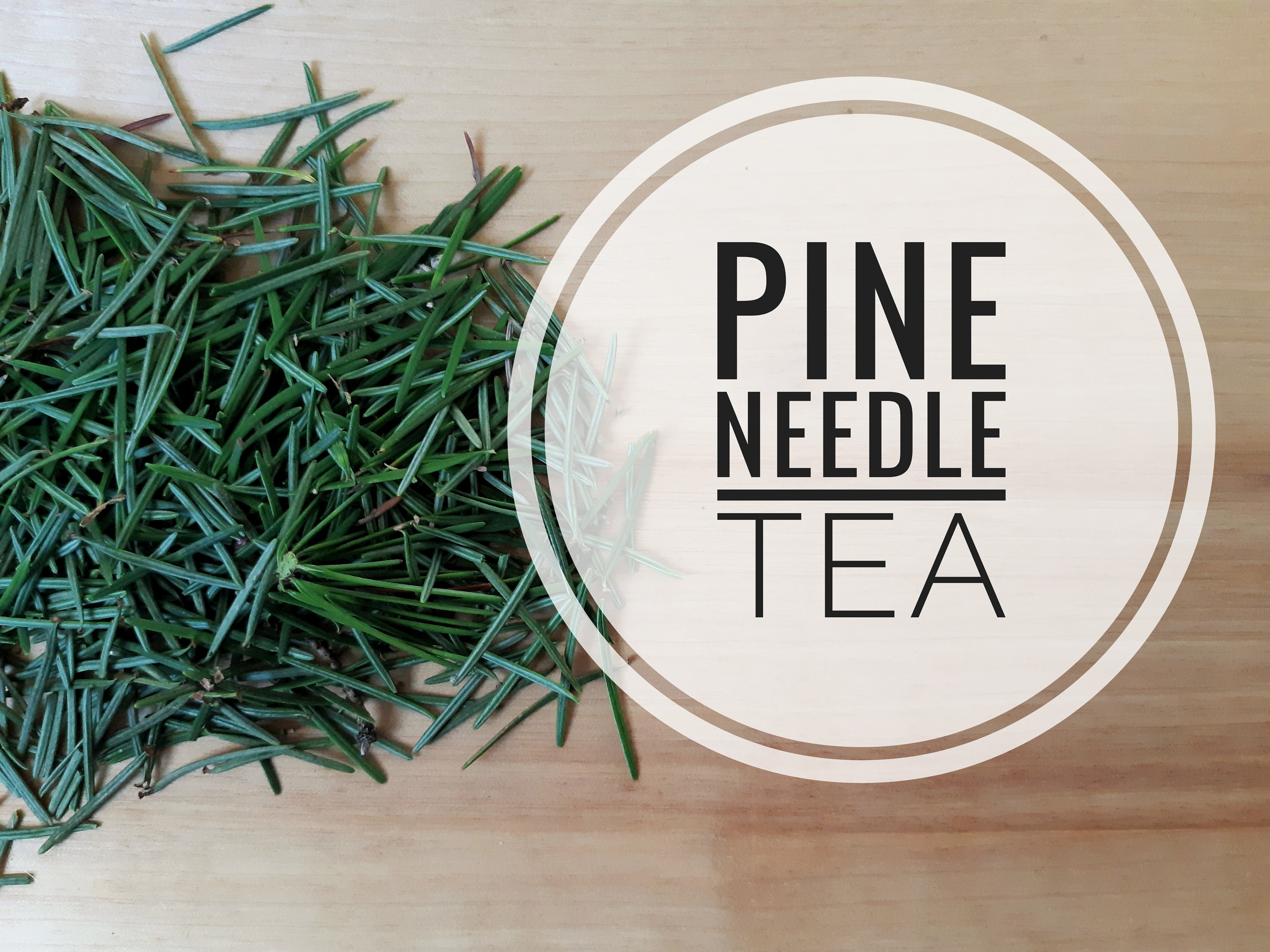 Pine needle tea organic pine herbal tea. All natural 30 gram Etsy