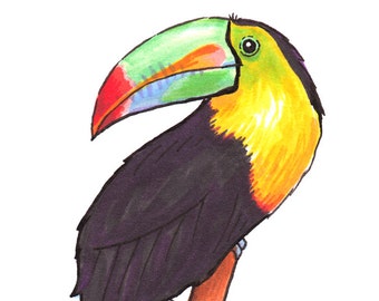 Toucan Print