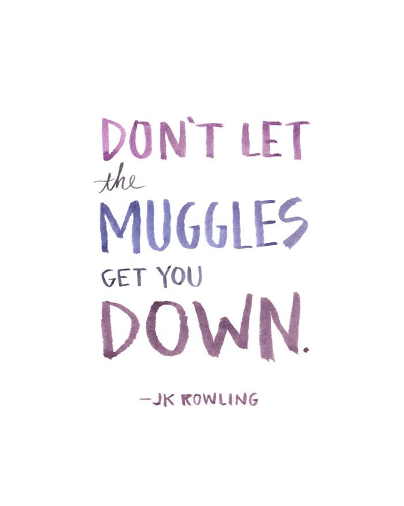 Don't Let the Muggles Get You Down.