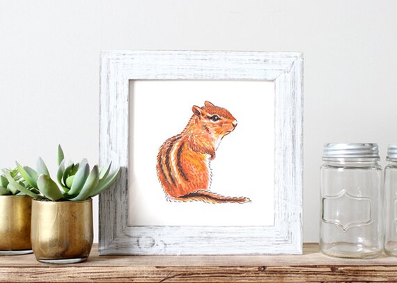 chipmunk basic mac chipmunk basic mac