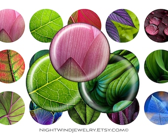 Leaves / Leaf Digital Collage Sheet One Inch Circles for Pendants / Magnets / Bottle Caps / Crafts 4 x 6 / Instant Download