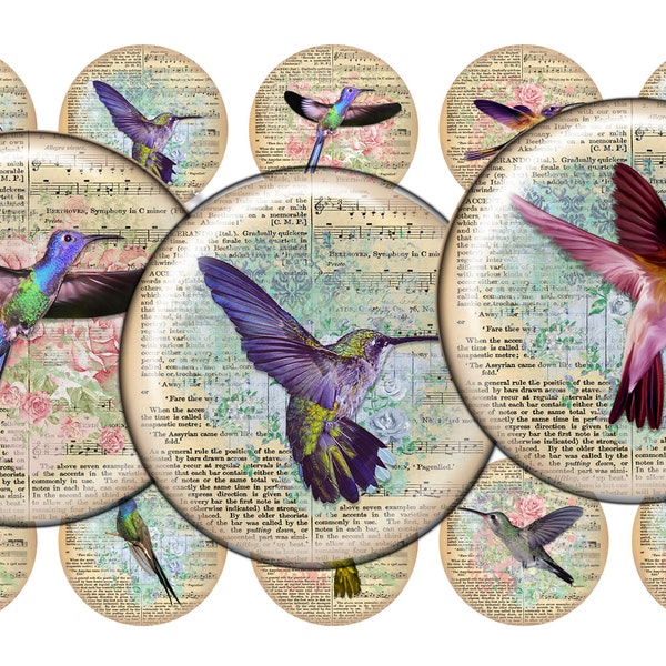Hummingbird Abstract Digital Collage Sheet One Inch Circles for Pendants / Magnets / Bottle Caps / Crafts 4 x 6 / Instant Download