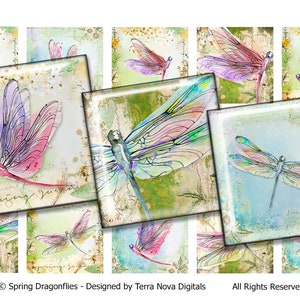 Spring Dragonflies Digital Collage Sheet One Inch Squares for Pendants / Magnets / Crafts / Instant Download