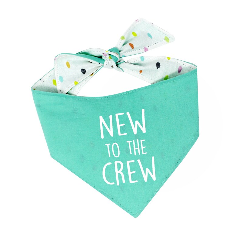 New to The Crew Dog BandanaMint Dog BandanaPolka Dot Dog BandanaNew Dog AccessoriesNew Dog BandanaDog AccessoriesPet Accessories