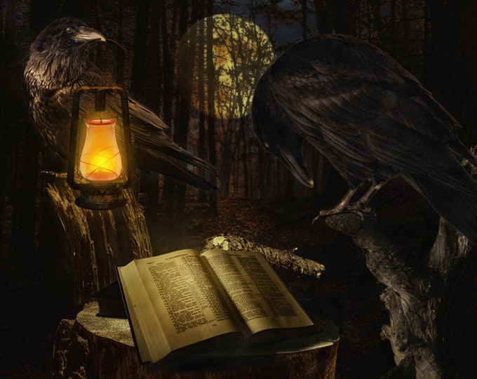 Spirit and Entity Bonding Kit Incense, Candle and Deluxe Recharging Bag ...