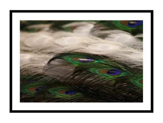 Peacock Feather Wall Art Print Dreamy Blue Green Nature Photography Bedroom Decor 4x6 5x7 8x10 11x14 12x16 12x18