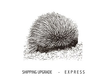 Shipping Upgrade to EXPRESS POST