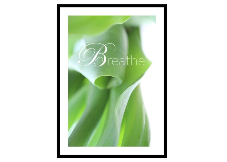 Botanical Wall Art Print Abstract Nature Photography Green image 0