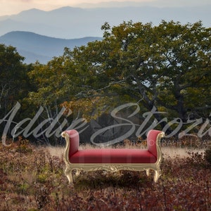 May include: A red velvet bench with gold-painted legs and ornate details sits in a field of brown grass and trees. The bench is in front of a mountain range in the distance.