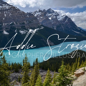 Peyto Lake BANFF Alberta Canada Print - wall art - gallery art - home decor