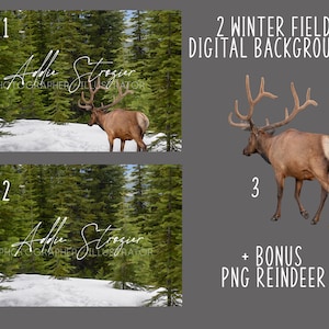 2 Snowy Winter Field Digital Backgrounds + Bonus PNG Reindeer Walking Away Overlay