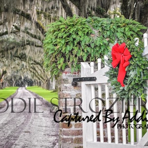 Digital Background - Christmas, Winter Backdrop, Wreath, Photoshop Photography Backdrop, Moss Trees