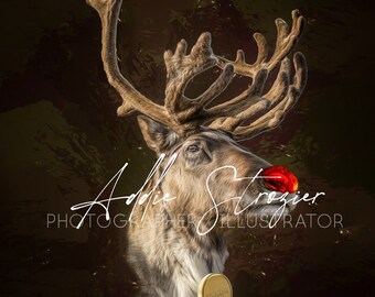 Rudolph Portrait Real Life ... Digital Image for printing on your own
