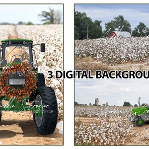 3 FILES Tractor Fall Halloween Cotton Field Digital Background Backdrop - Country