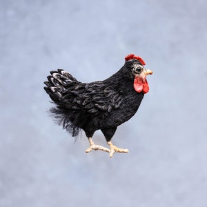 May include: A black chicken figurine with red wattle and comb, standing on a light blue background.