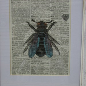 Bee Print Art Vintage Dictionary Page Art Bee 1917 Webster&#39;s 8 x 11 inches