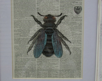 Vintage Bee Art Print, 1917 Dictionary Page (8x11 inches)
