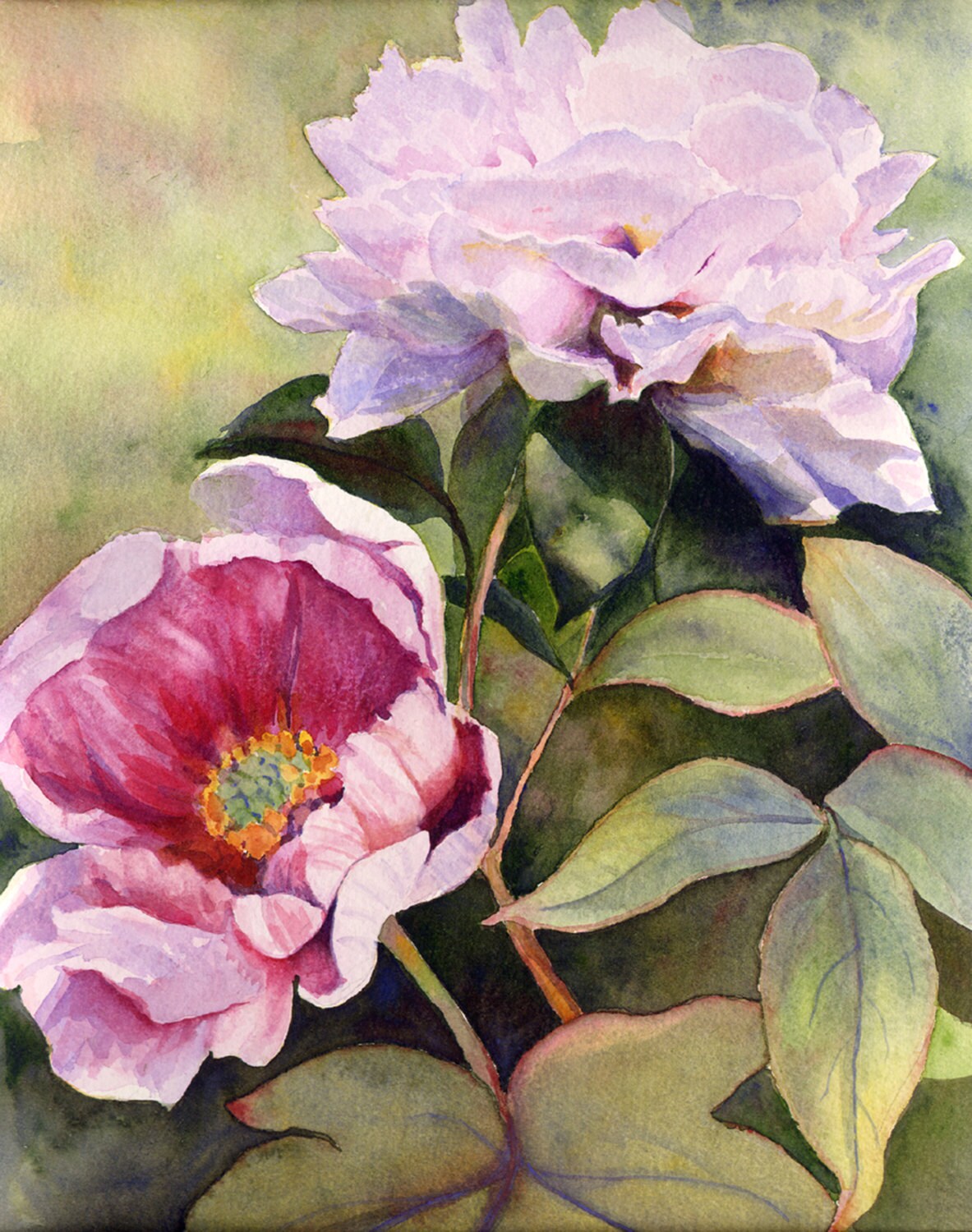 Fine Art Floral Print of original watercolor of Garden Peonies Etsy