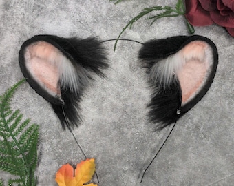 Bärenohren (55 Farboptionen!)