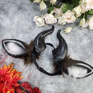 Goat Ears and Horns