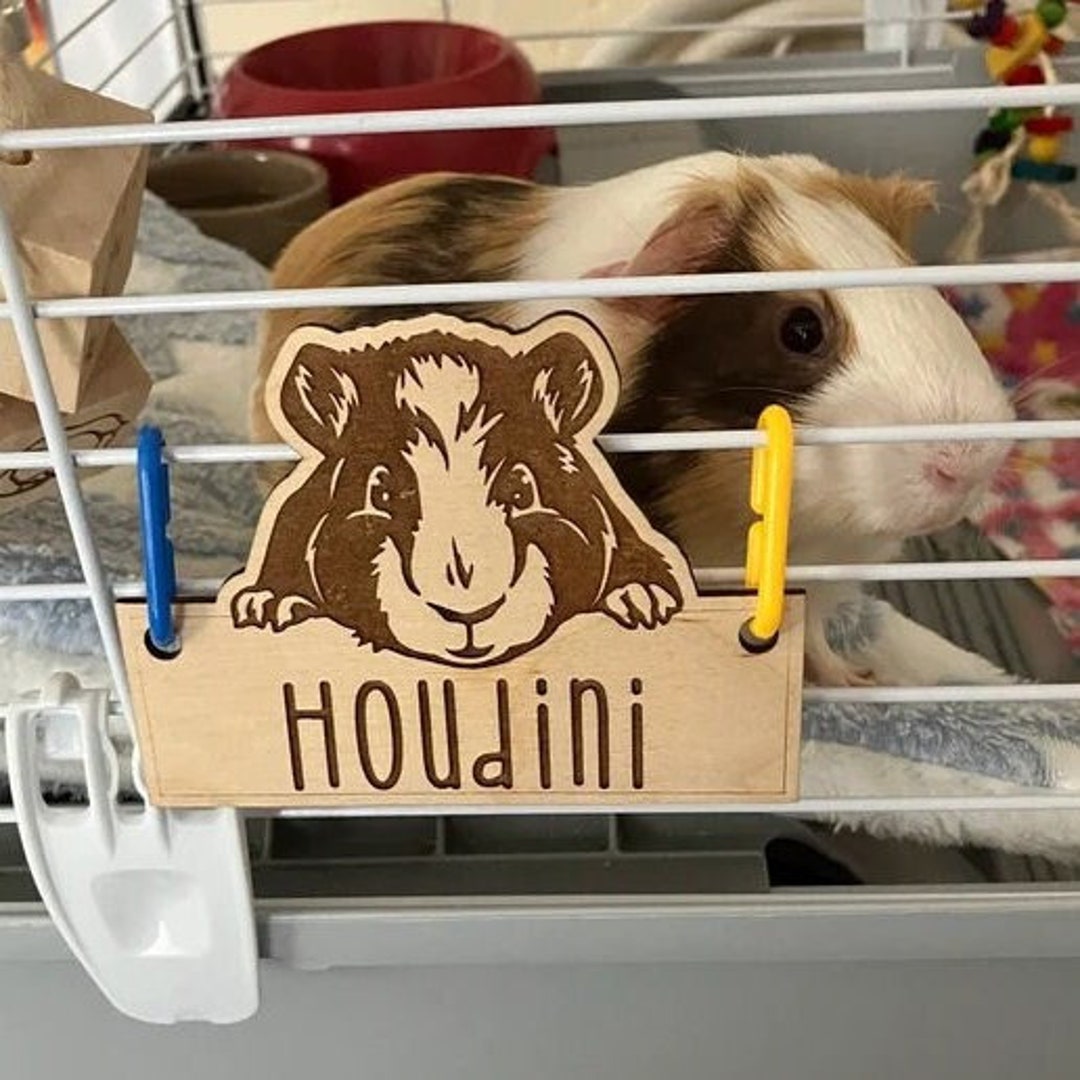 Personalized Guinea Pig Cage Tag, Custom Engraved Wood Name Sign, Cavy ...