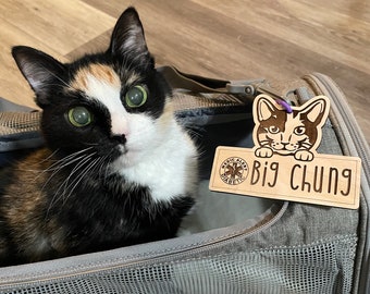 Personalized Cat Carrier Name Tag, Custom Engraved Crate & Kennel Tag, Pet Carrier Accessories for Vet Visits