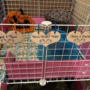 Personalized Guinea Pig Cage Tag, Custom Engraved Wood Name Sign, Cavy ...