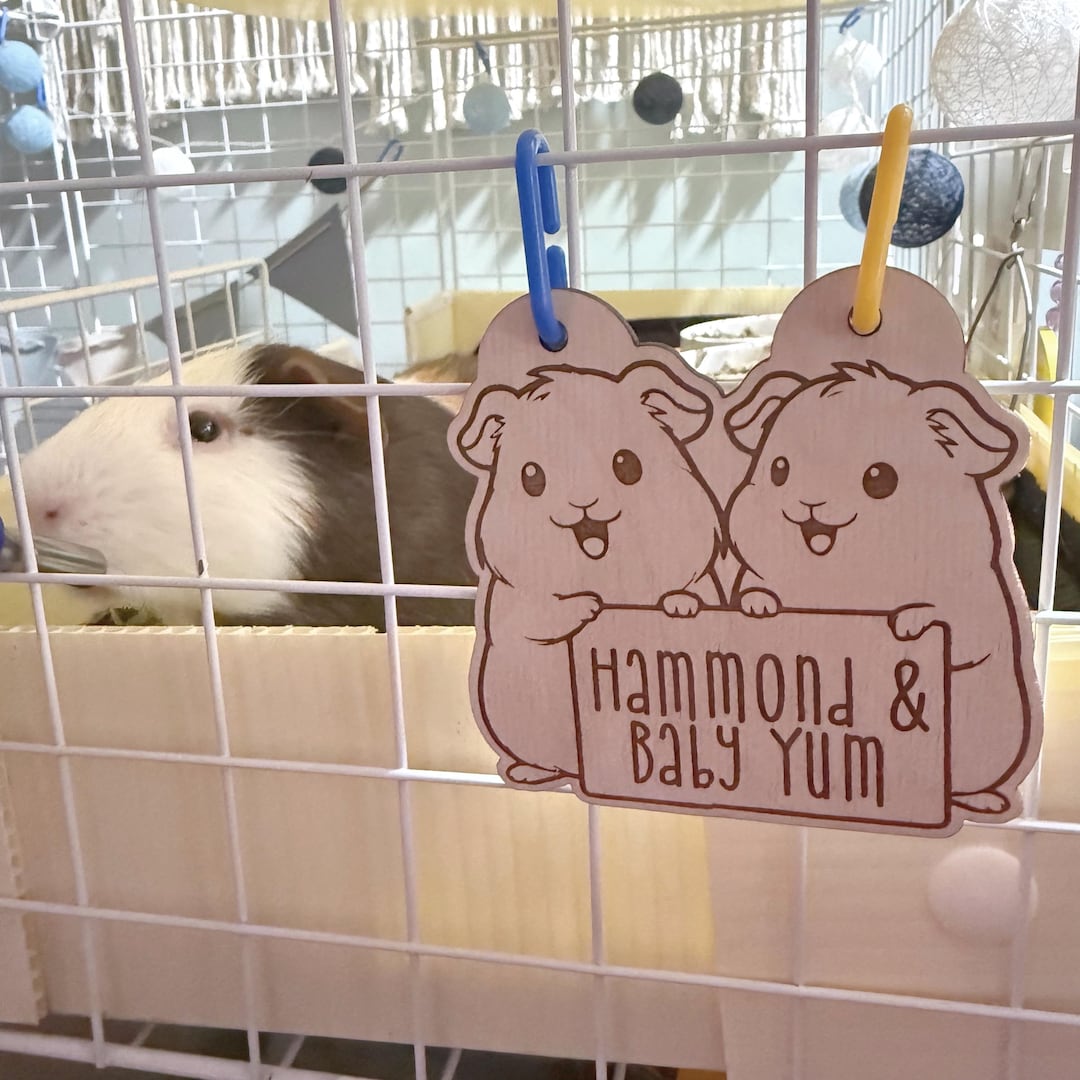 Personalized Guinea Pig Duo Cage Tag, Custom Engraved Wood Name Sign ...