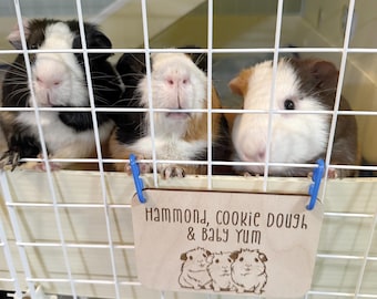 Personalized Guinea Pig Trio Cage Tag, Custom Engraved Wood Name Sign, Cavy Pet Accessories, Small Animal Decor