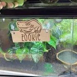 Frog Name Tag, Personalized, Engraved Wood, Terrarium Tag, Habitat Tag, Cage Accessories, Small Animal, Reptile, Toad Tank, Aquarium Tag