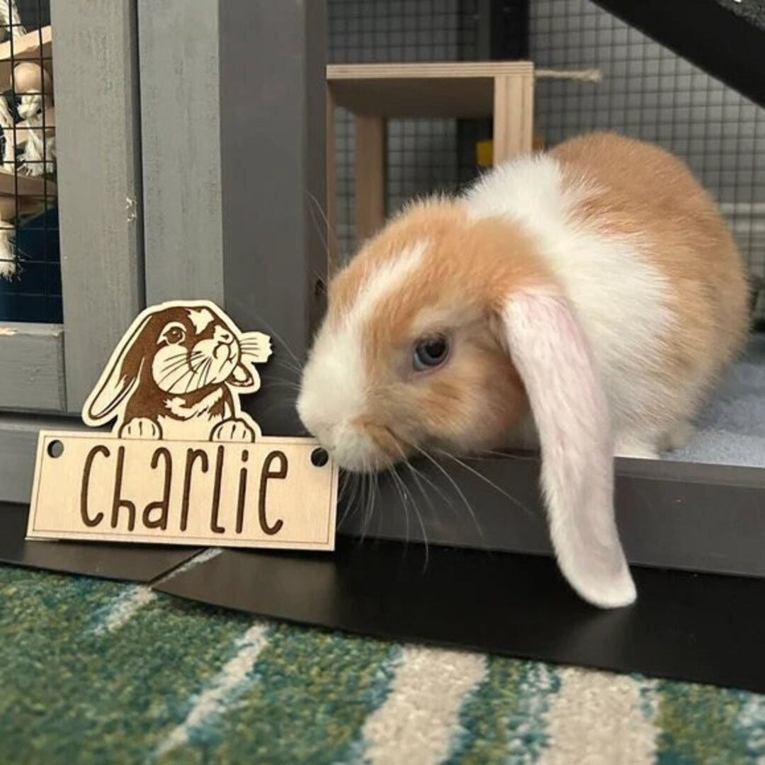 Bunny Rabbit Ears Down Cage Tag, Personalized, Custom, Engraved Wood ...