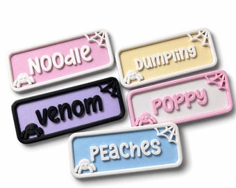 Small Jumping Spider Personalized Name Tag, 3D Printed Terrarium Label, Jumping Spider Habitat Cage Accessories