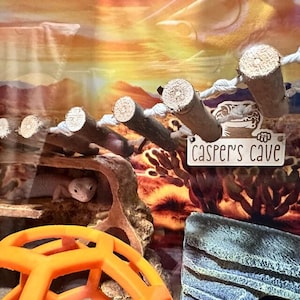 May include: A reptile habitat with a gecko inside a cave. The habitat includes a climbing structure made of wooden dowels and rope, and an orange ball. A sign reads "Casper's Cave".