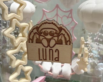Small Jumping Spider Personalized Name Tag, Engraved Wood Terrarium Label, Jumping Spider Habitat Cage Accessories